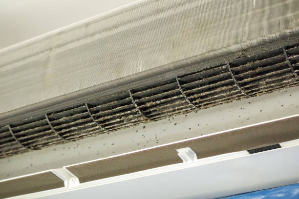 Best Local Air Duct Cleaning Services  in Hillcrest, CA